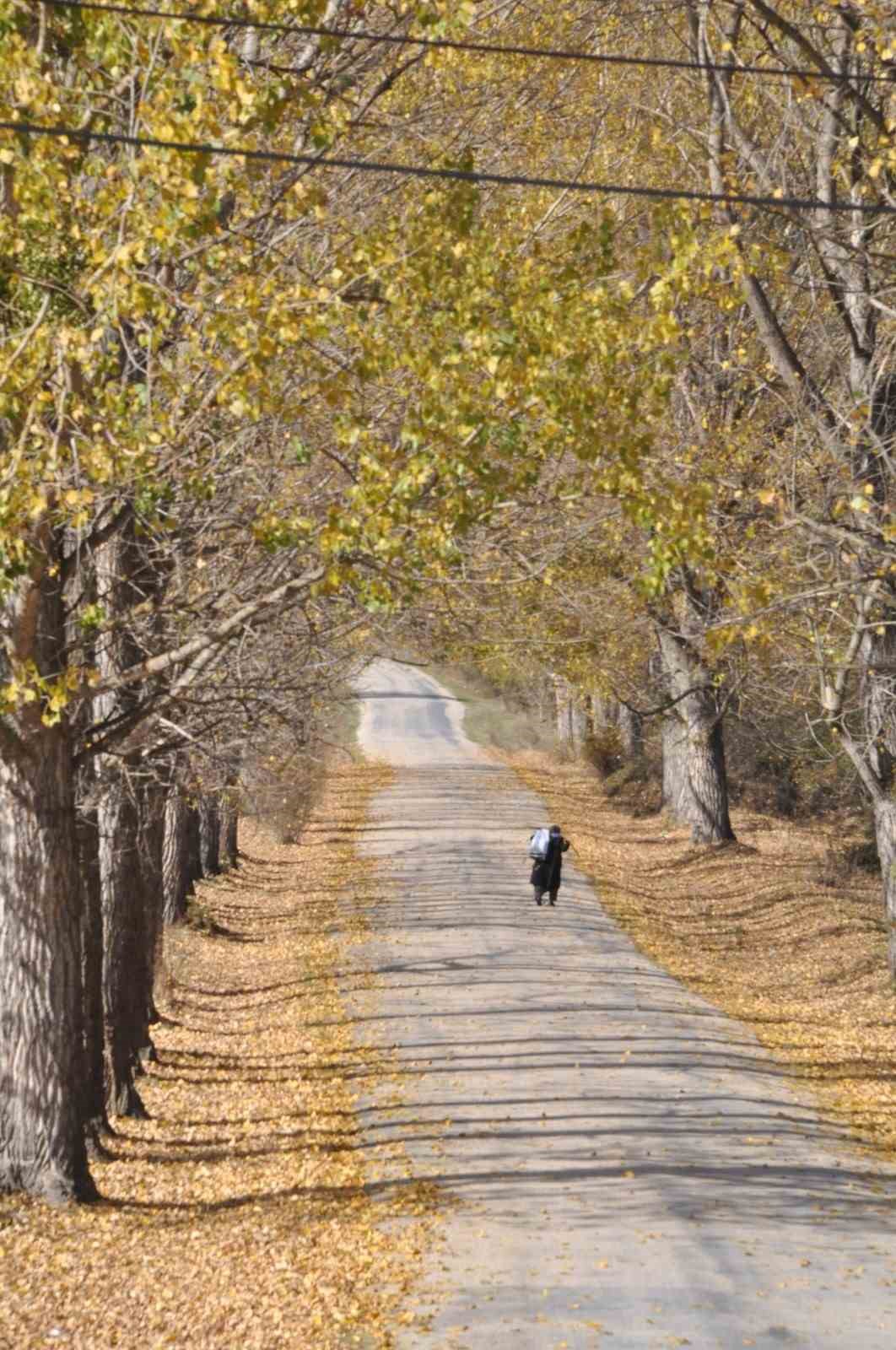 Bolu’dan sonbahar manzaraları
