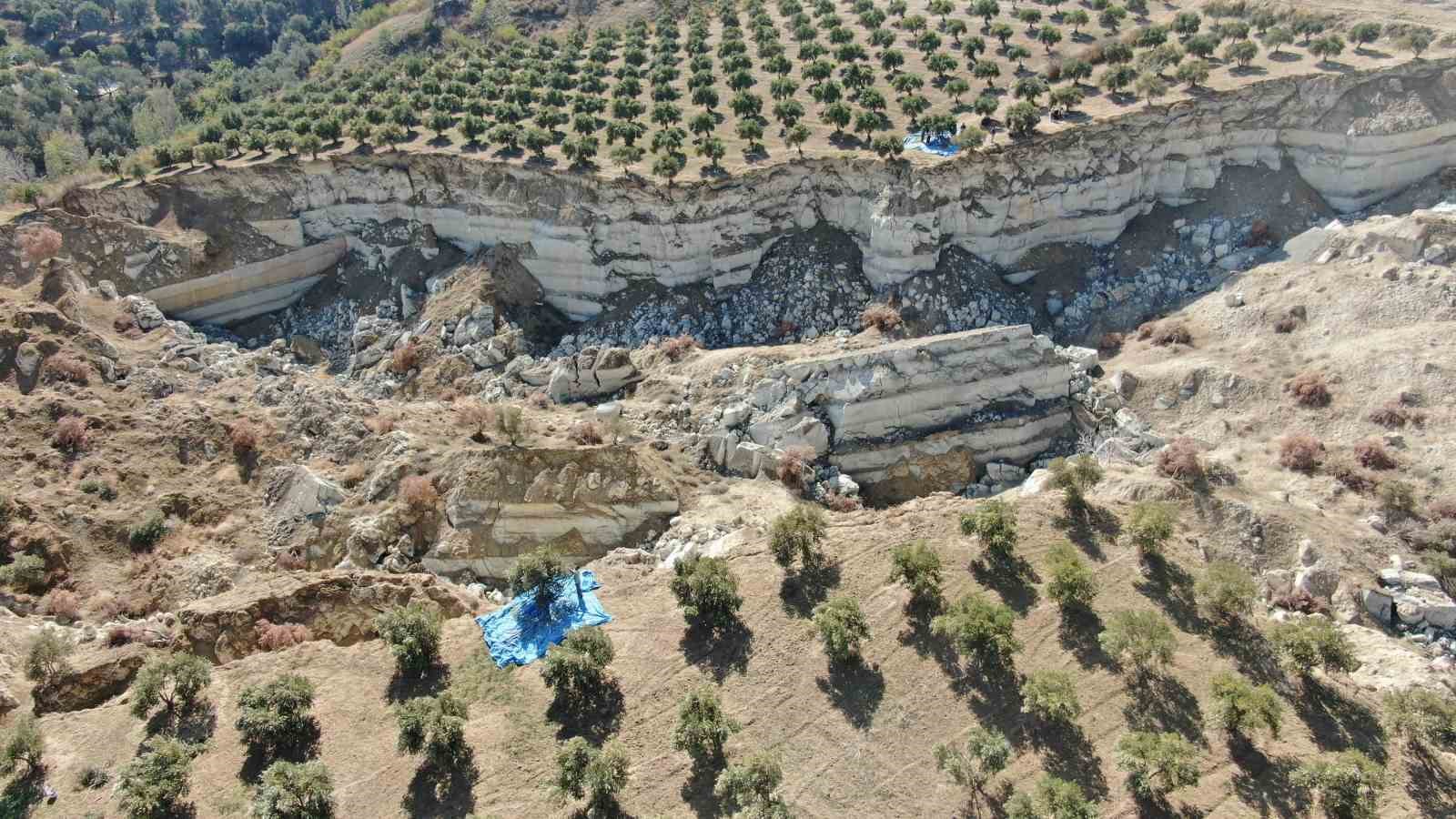 Fay hattının ortadan ikiye ayırdığı bahçede tedirgin eden hasat başladı