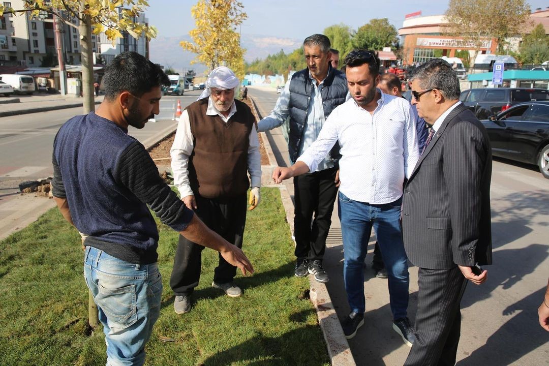 Şırnak belediyesi yeşillendirme &ccedil;alışmaları başlattı

