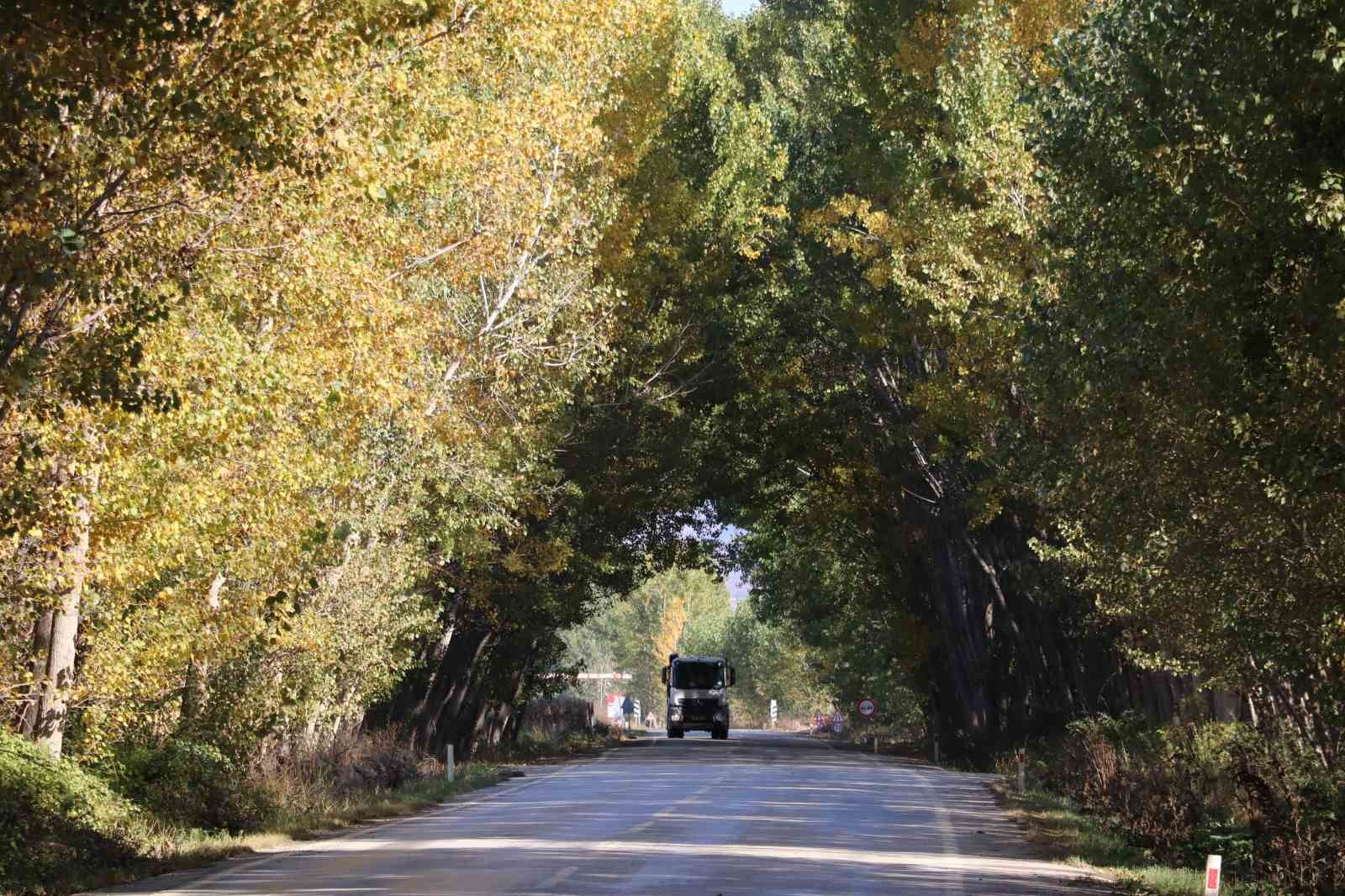 Tokat&rsquo;ın ağa&ccedil; t&uuml;neli sonbaharda g&uuml;zelliğiyle mest ediyor
