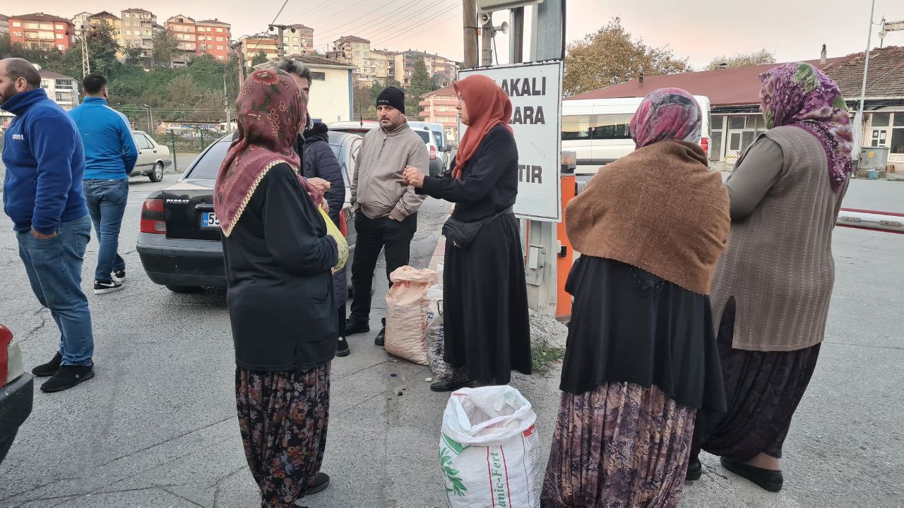 Kestane i&ccedil;in pazarda borsa kurdular
