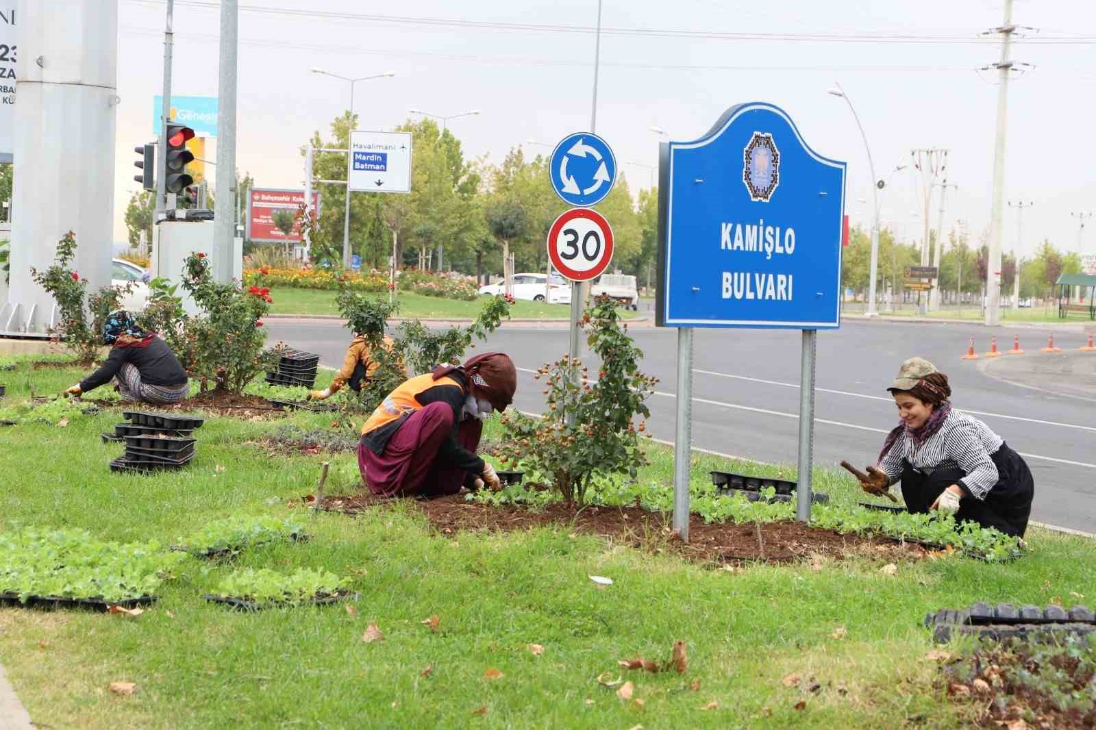 Diyarbakır’da 1 milyon 200 bin kışlık çiçeğin toprakla buluşturulması hedefleniyor