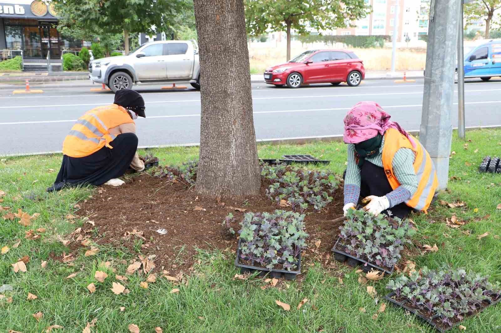 Diyarbakrda 1 milyon 200 bin klk iein toprakla buluturulmas hedefleniyor
