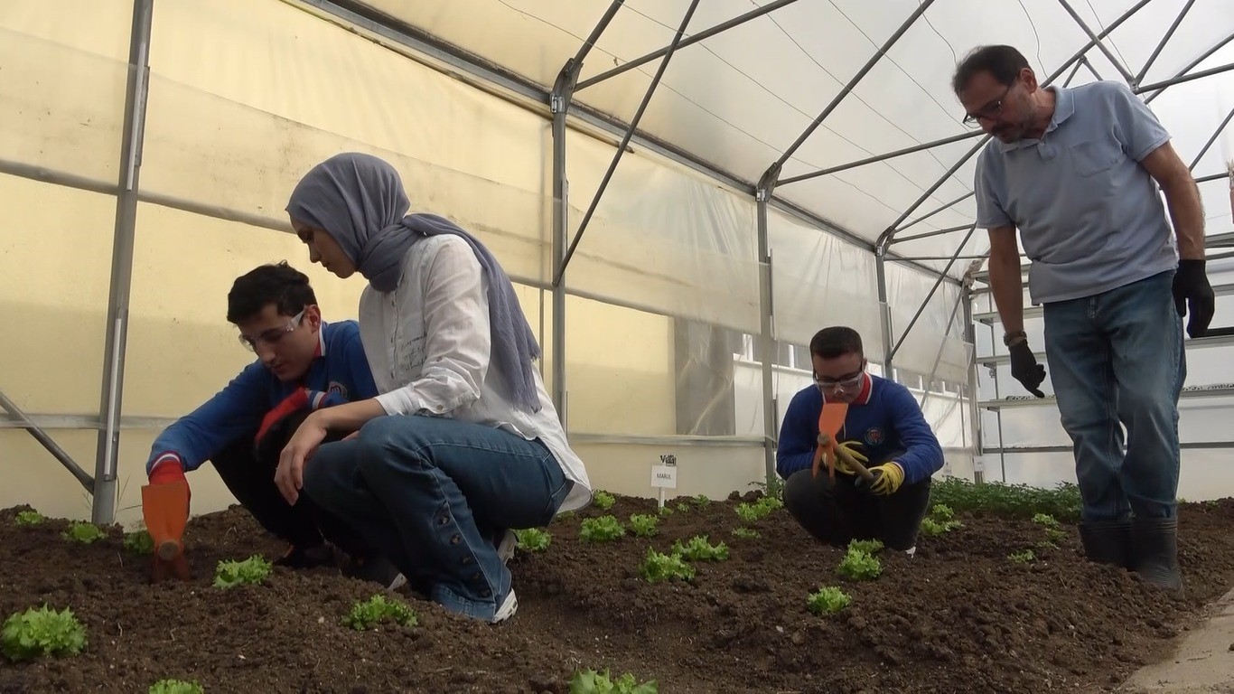 Özel öğrenciler okuldaki serada sebze yetiştiriyor