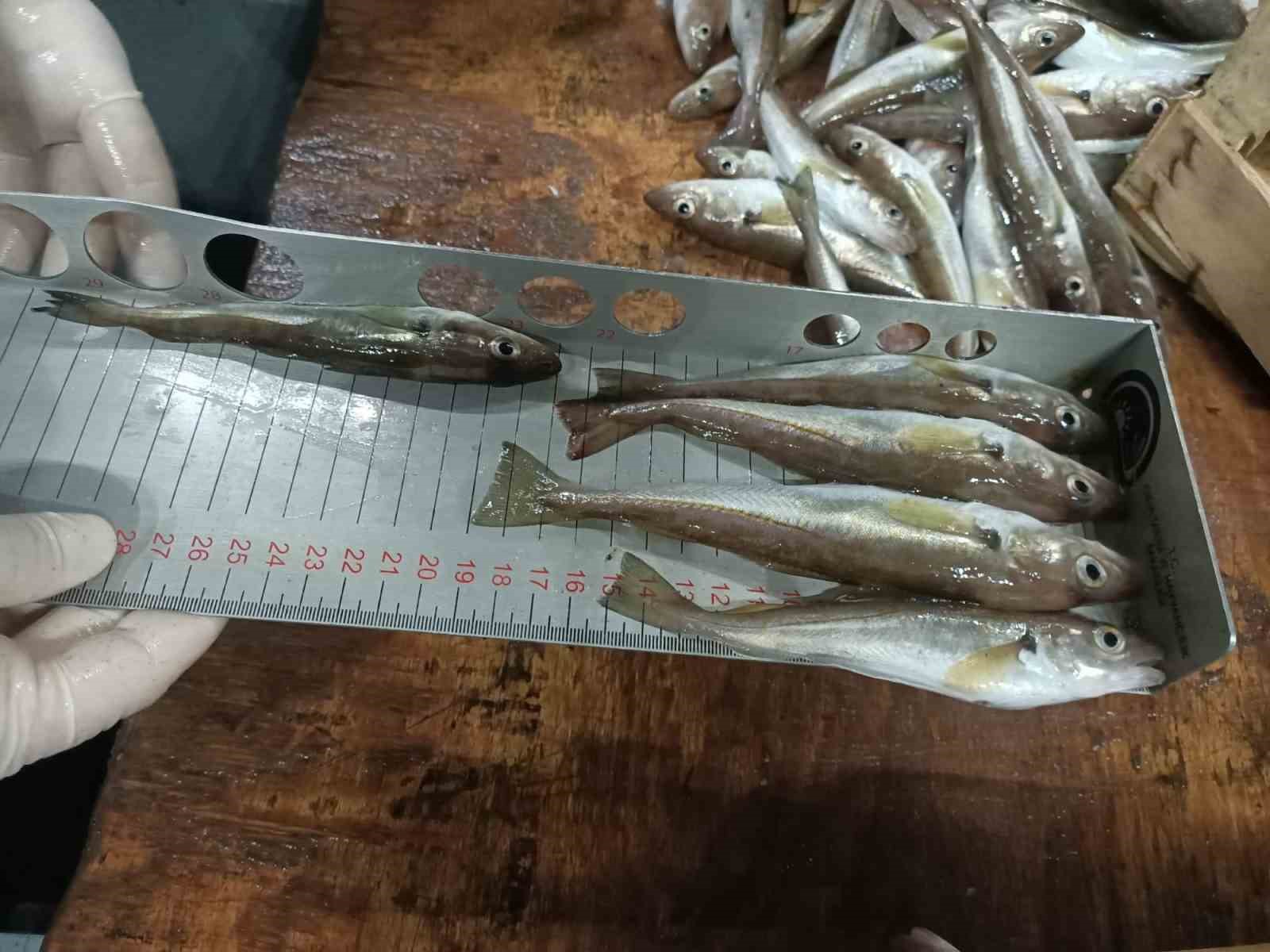 Kırklareli&rsquo;nde balık&ccedil;ılar denetlendi
