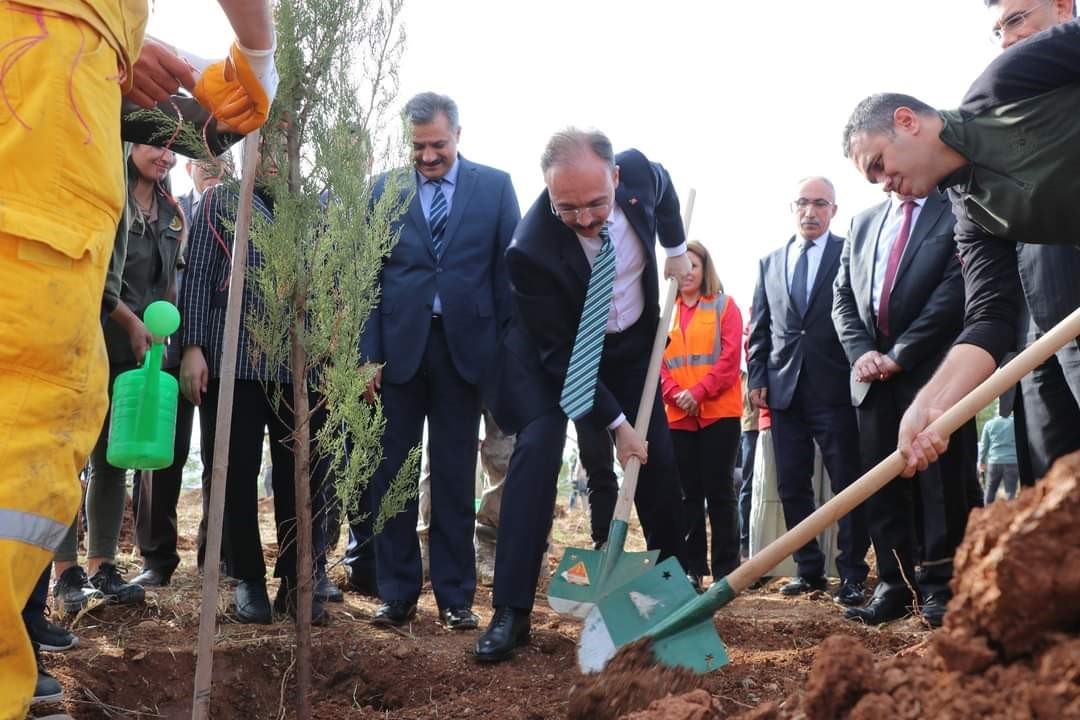 Siirt’te 100. yıla özel 1923 fidan dikildi
