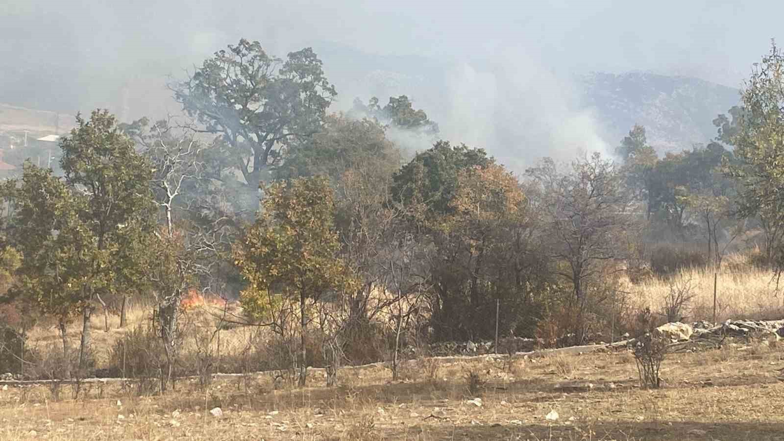 Isparta’da 10 dekar alan küle döndü
