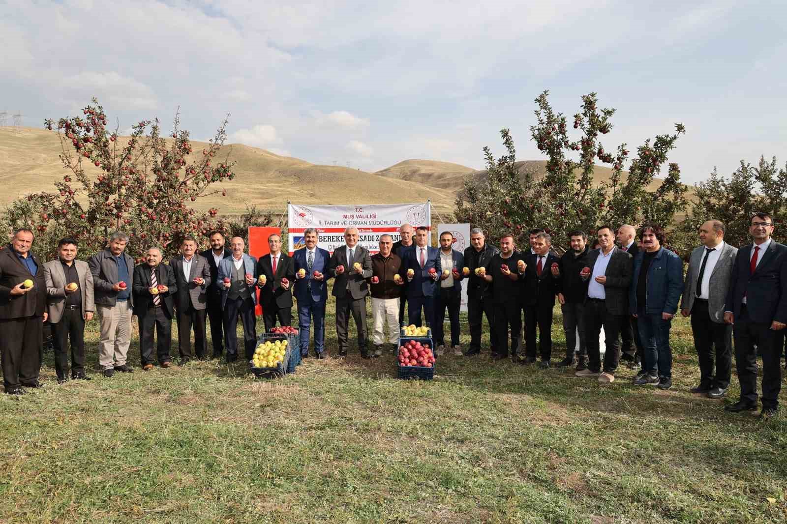 Aromasını gece ve gündüz arasındaki sıcaklık farkından alan elmanın hasadı yapıldı