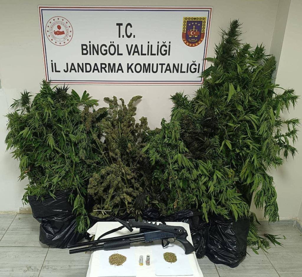 Bingöl’de uyuşturucu operasyonu