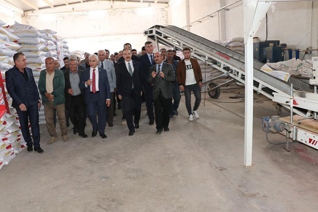 Siirt&rsquo;te &ccedil;ift&ccedil;ilere mercimek tohumu desteği
