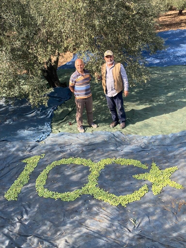 Kırkağaçlı çiftçiler topladıkları zeytinlerden 100. Yıl logosu yaptı