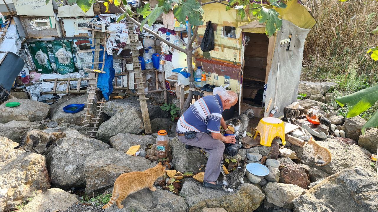 Emekli iş&ccedil;i, 100 kedinin &rsquo;dedesi&rsquo; oldu, maaşını onlar i&ccedil;in harcıyor

