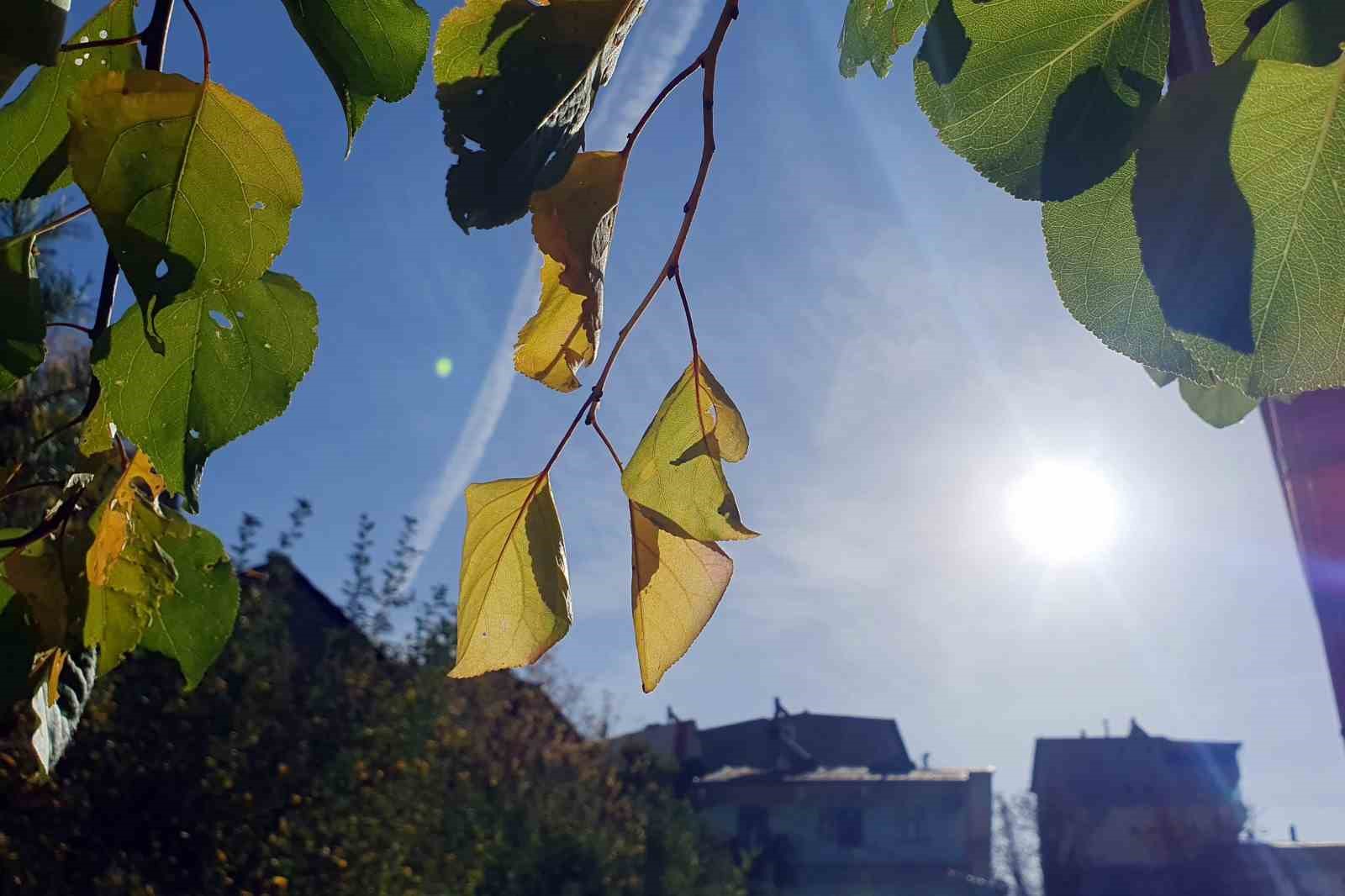 Gümüşhane’de pastırma yazı etkili oluyor