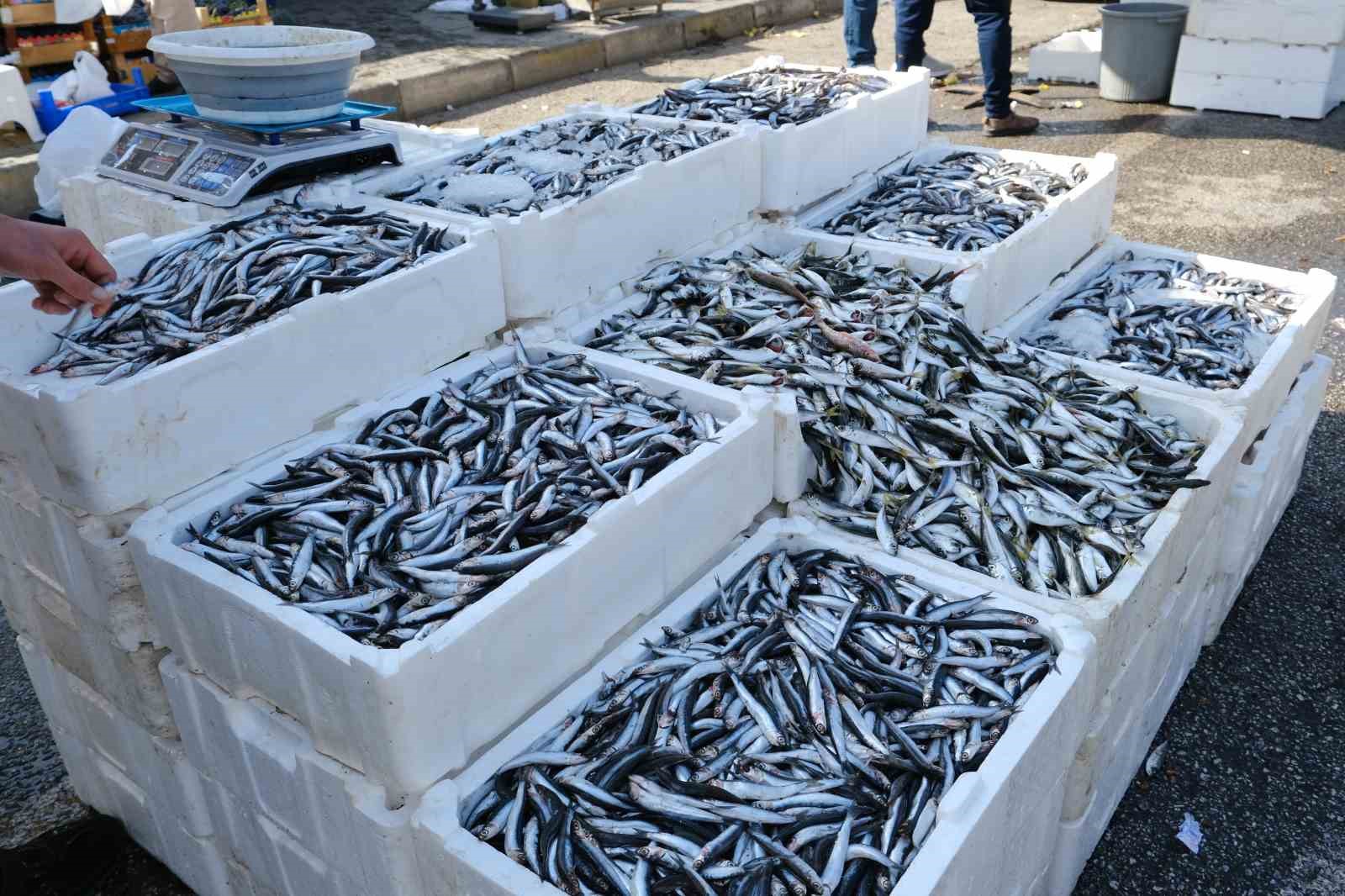 Erzincan&rsquo;da tezgahlarda hamsi bolluğu
