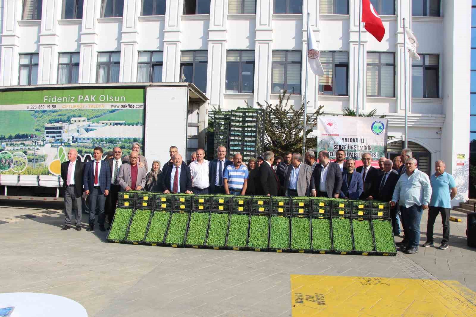 Yalova’da çiftçilere 595 bin kıvırcık fidesi dağıtıldı