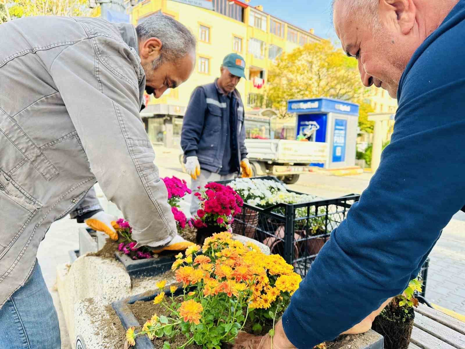 Iğdır mevsimlik çiçekler ile rengarenk
