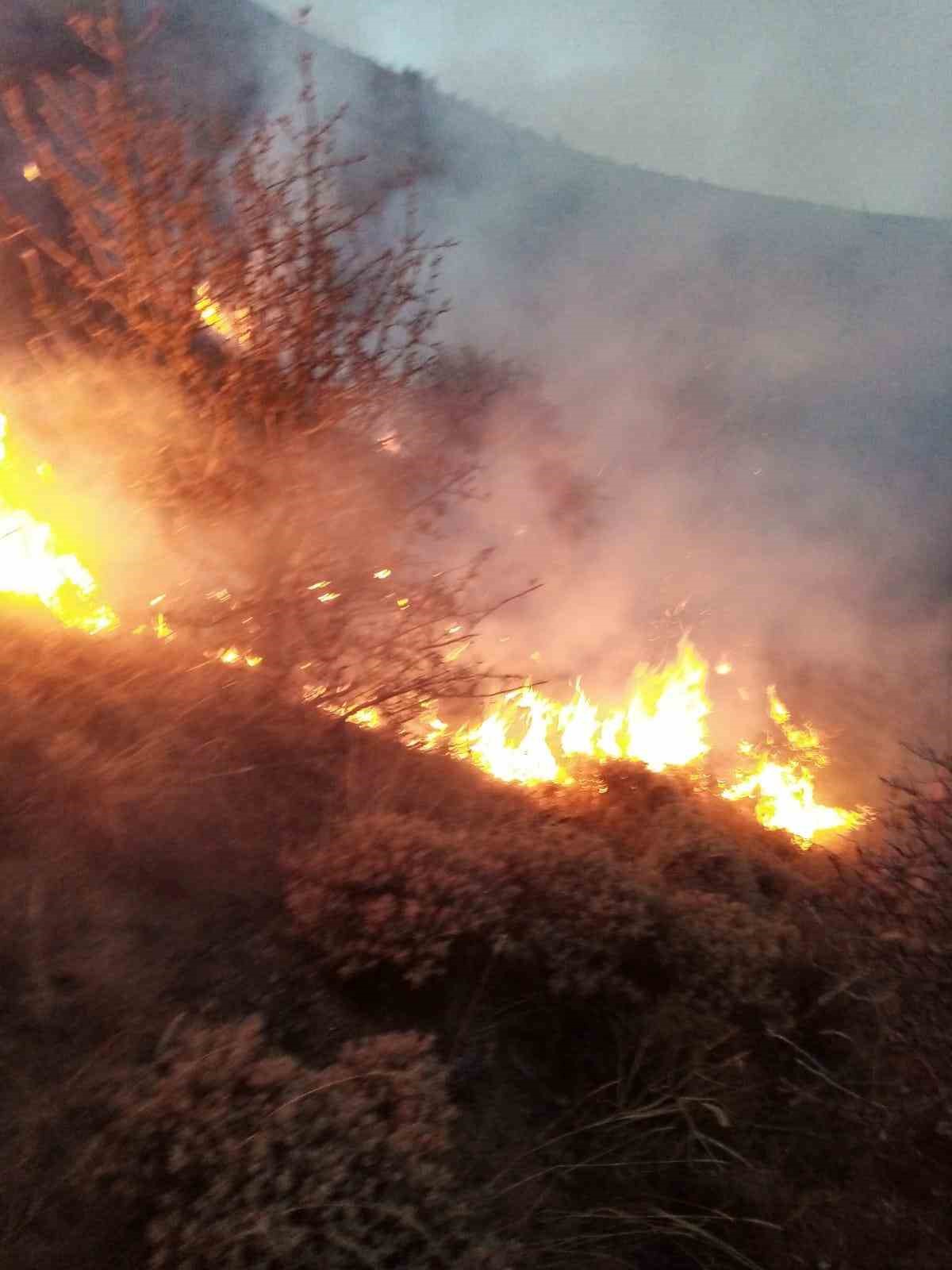 G&uuml;m&uuml;şhane&rsquo;deki &ouml;rt&uuml; yangınında 5 hektarlık alan zarar g&ouml;rd&uuml;
