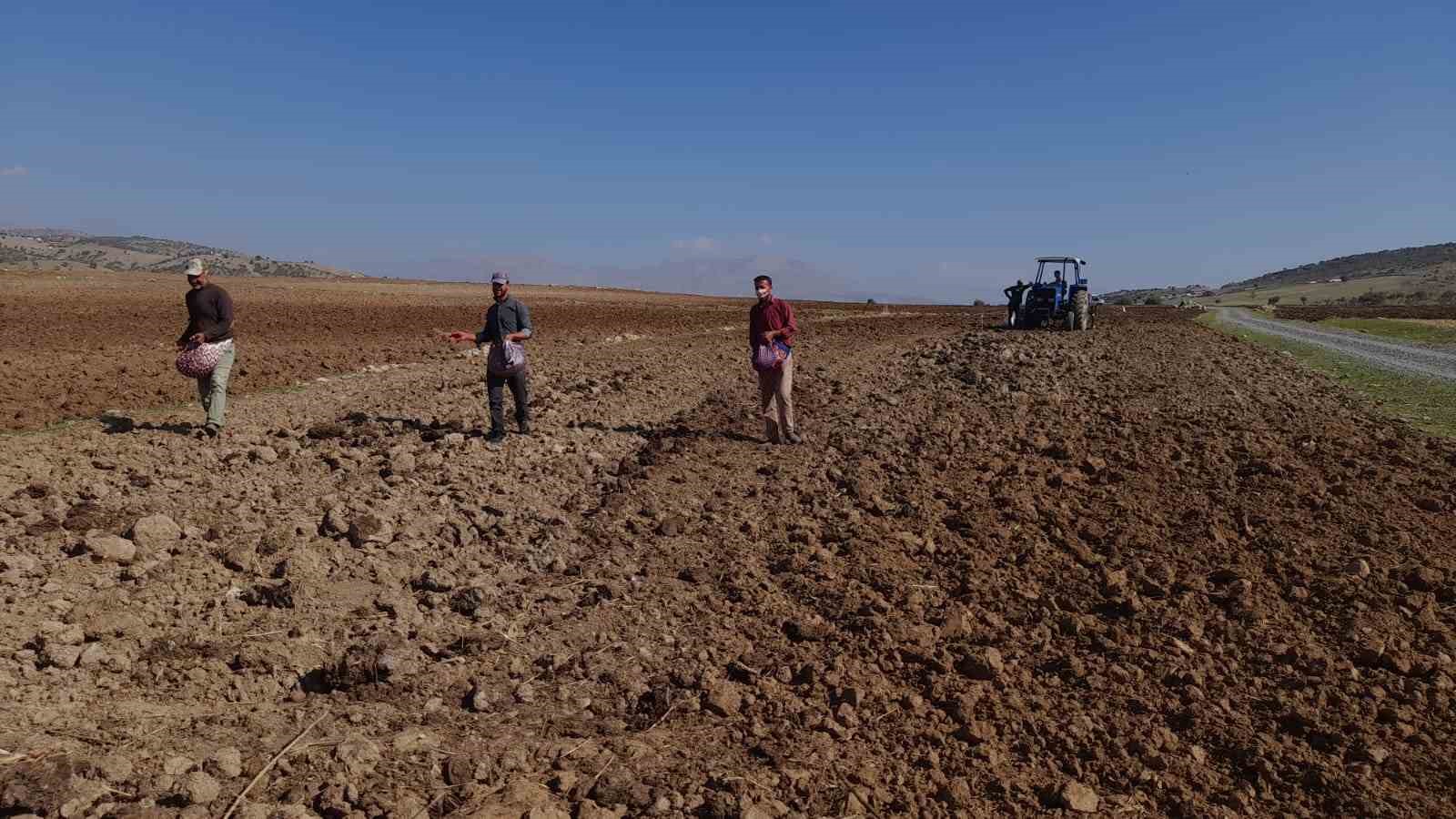 Kulp’ta çiftçiler imece usulü tohumu toprakla buluşturdu