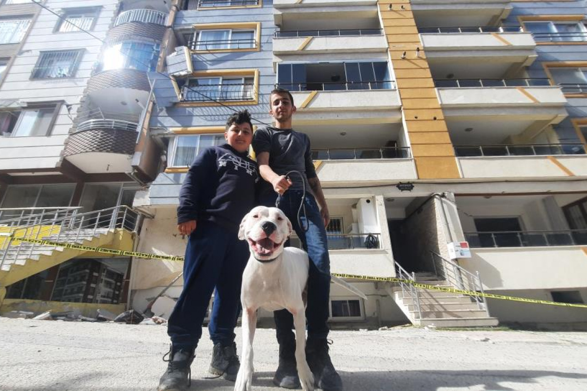 Kahraman köpek &#039;Dora&#039;, deprem anında kendisini siper ederek sahiplerini korudu