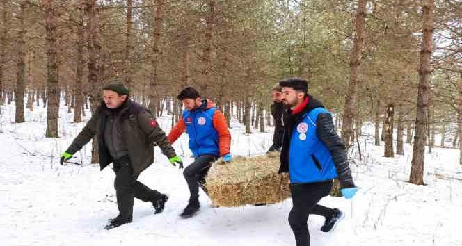 Ardahan’da yaban hayatı için doğaya yem bırakıldı