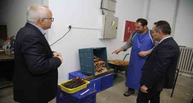 TOGÜ 10 bin adet tüplü aşılı asma fidanı üretecek