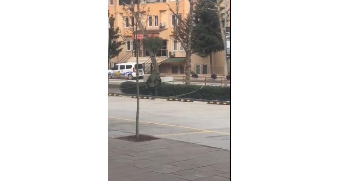 Yalova’da şüpheli çanta fünyeyle patlatıldı