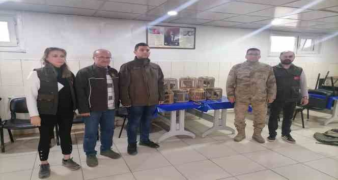 Siirt’te kaçak avcıya para cezası