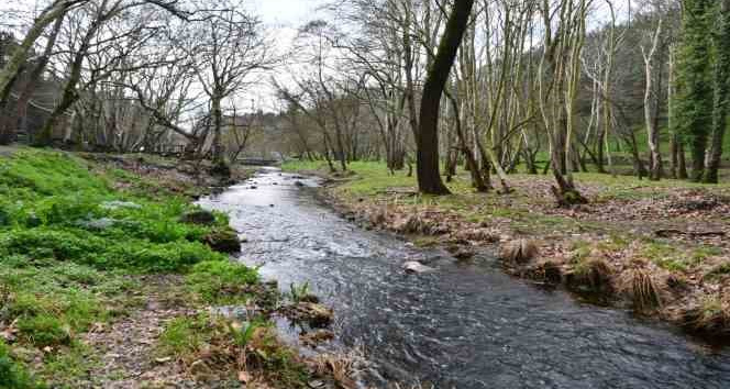 Tabiat parkındaki dere temizlendi