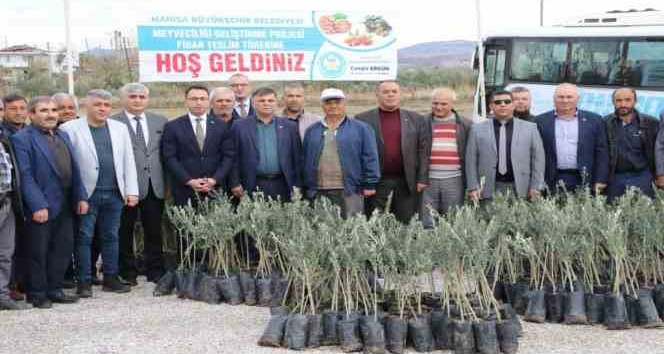 Manisalı üreticiye 150 bin fidan desteği