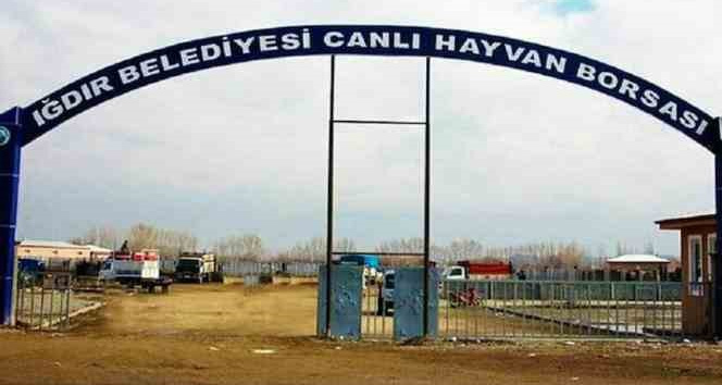 Şap hastalığından dolayı Iğdır hayvan pazarı kapatıldı