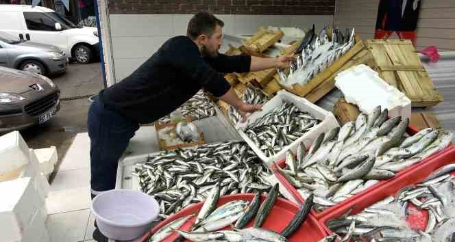Balık fiyatlarına ramazan düzenlemesi