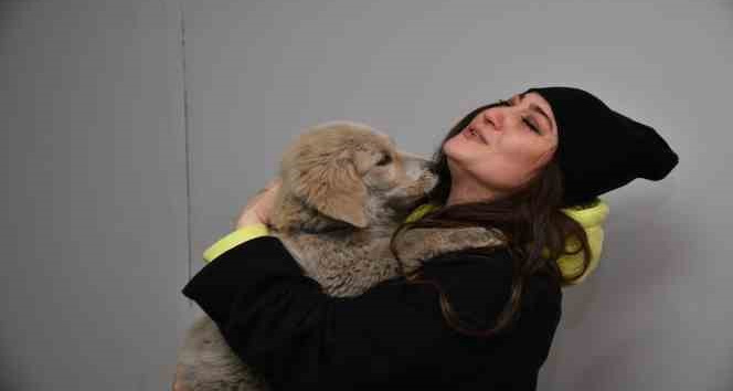 Kahramanmaraş’ta enkaz altından kurtarılan köpek Trabzon’da sahiplendirildi