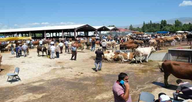 Erzincan canlı hayvan pazarı kapatıldı