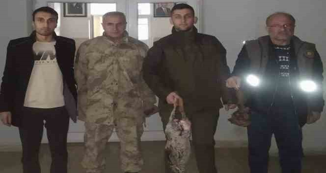 Siirt’te kaçak avcılara geçit yok