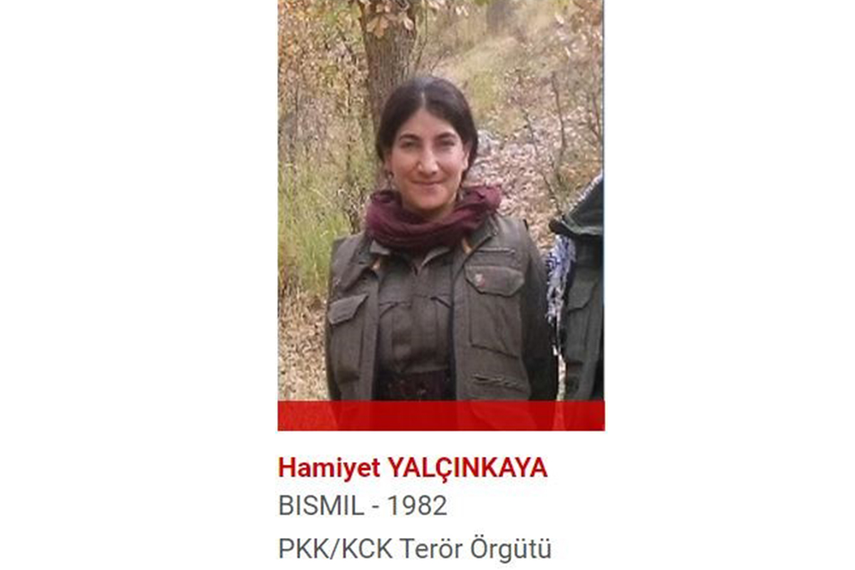 Türkiye’deki sözde en üst düzey terörist Hamiyet Yalçınkaya&#039;nın karanlık geçmişi