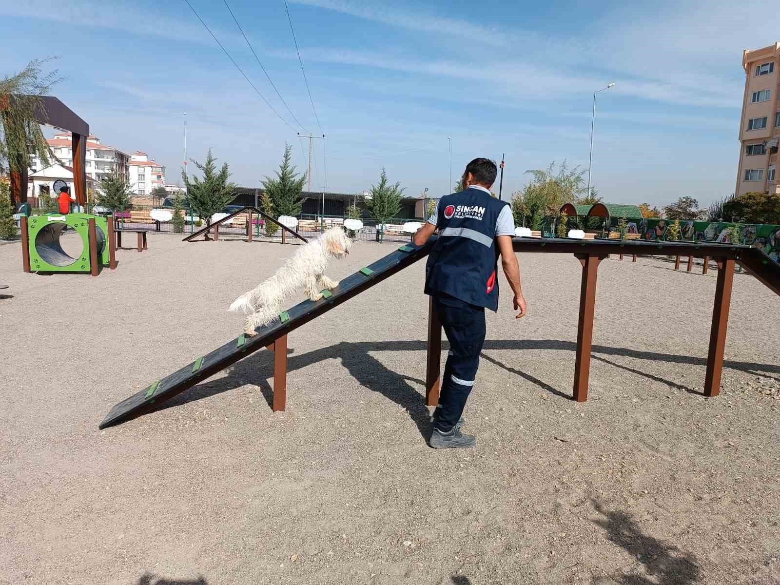 Sincan&rsquo;da Pati Park&rsquo;a vatandaşların ilgisi y&uuml;ksek
