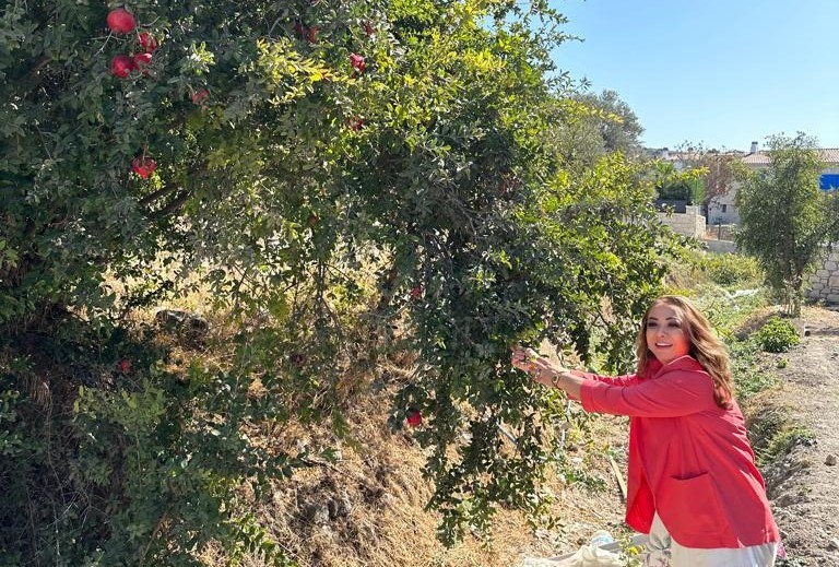 Uzun ve sağlıklı yaşamın sırrı ‘Nar’ da gizli