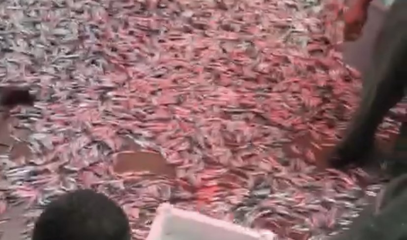 Bin 500 kasa hamsi ile limana geldiler
