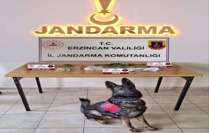 Erzincan&rsquo;da jandarma ekipleri su&ccedil;a ge&ccedil;it vermiyor
