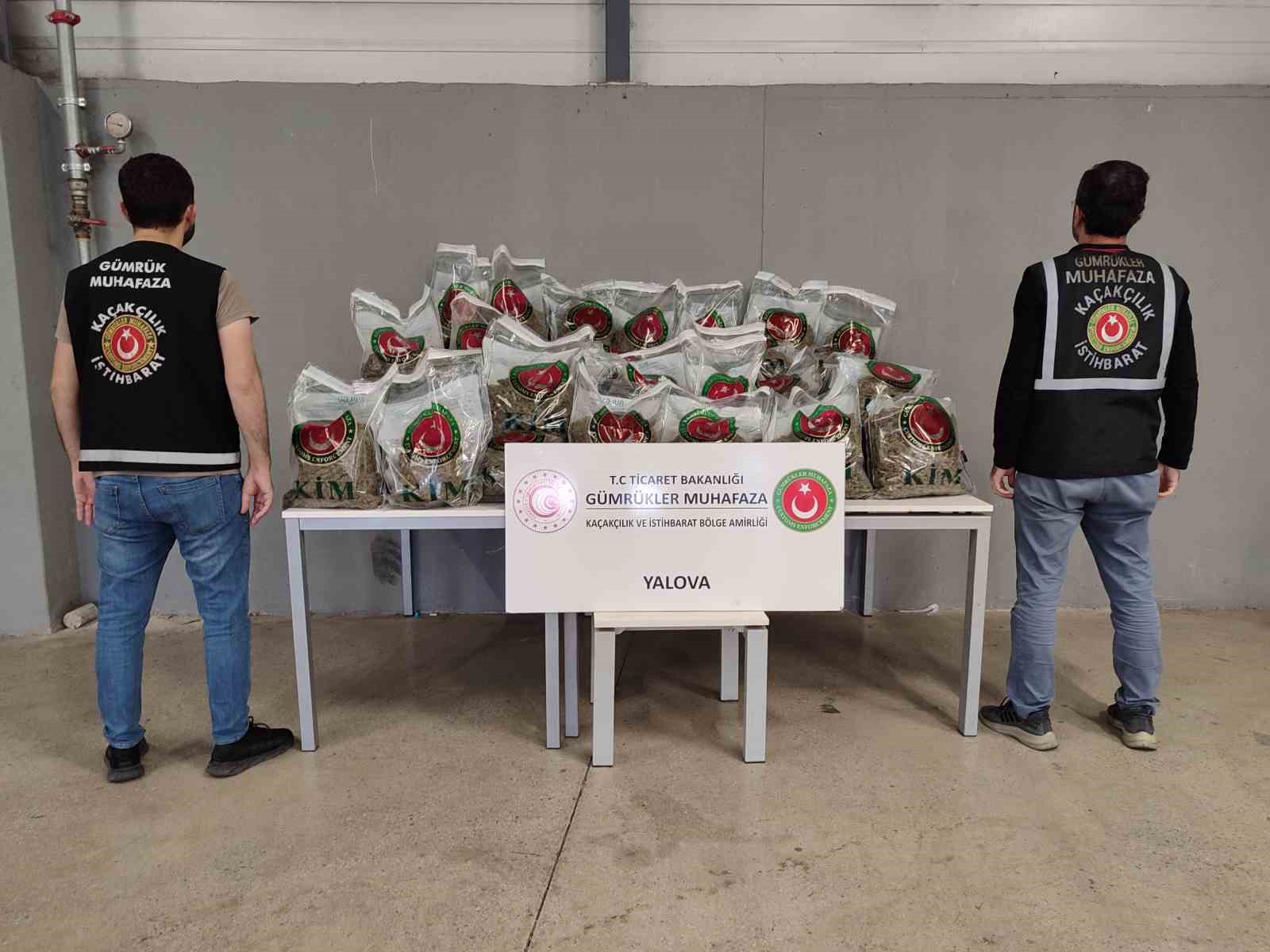 Yalova Ro-Ro Limanı’nda yurda sokulmak istenen 80 kilo uyuşturucu yakalandı