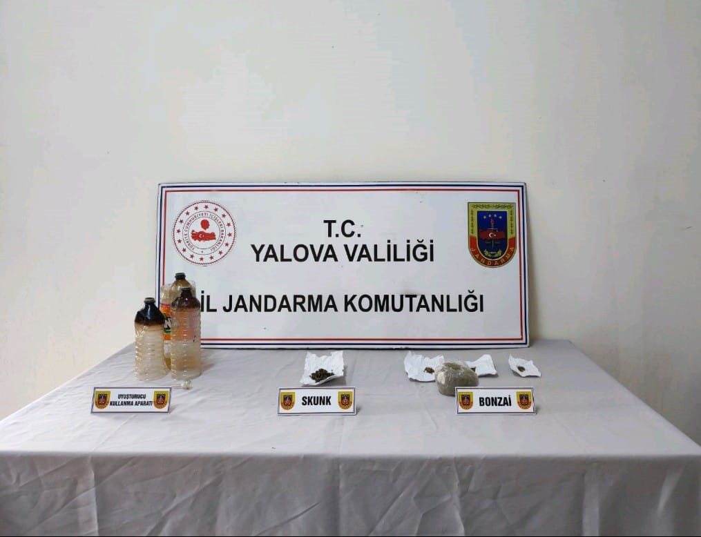 Yalova’da ormanlık alanda uyuşturucu yetiştiren zanlı tutuklandı