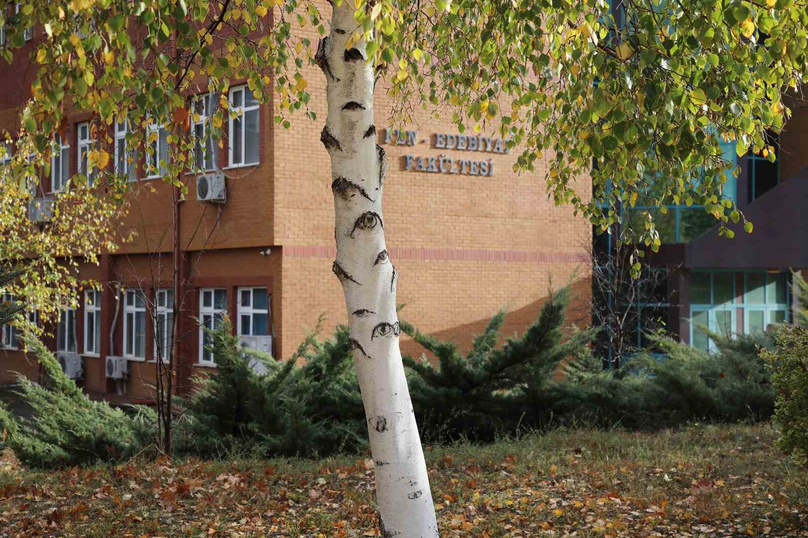 TOGÜ’de gözleri olan ağaç sosyal medya da ilgi odağı oldu