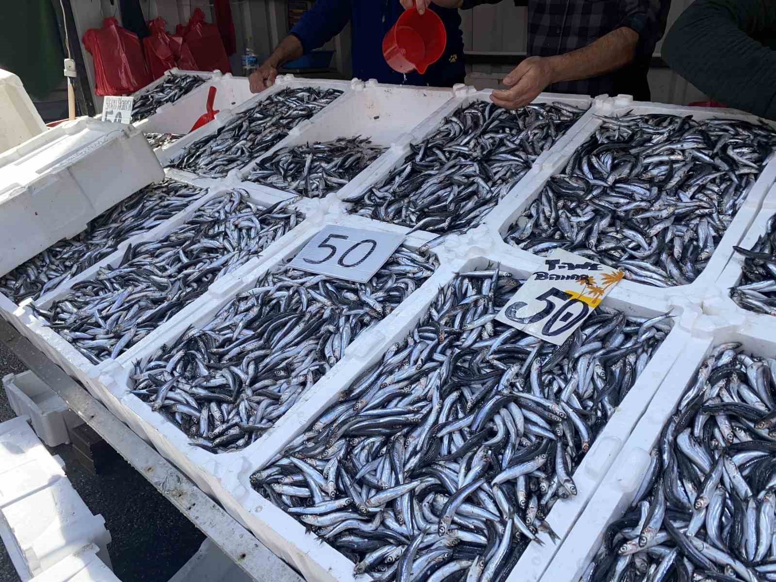 Yerli hamsi d&uuml;ş&uuml;şe ge&ccedil;ti, vatandaş yoğun ilgi g&ouml;sterdi
