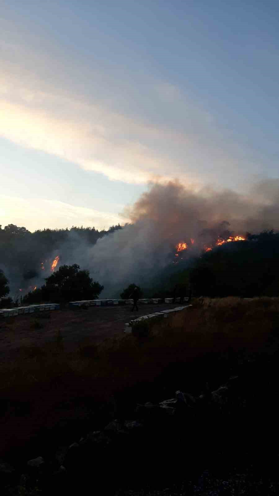 Milas’taki orman yangını söndürüldü