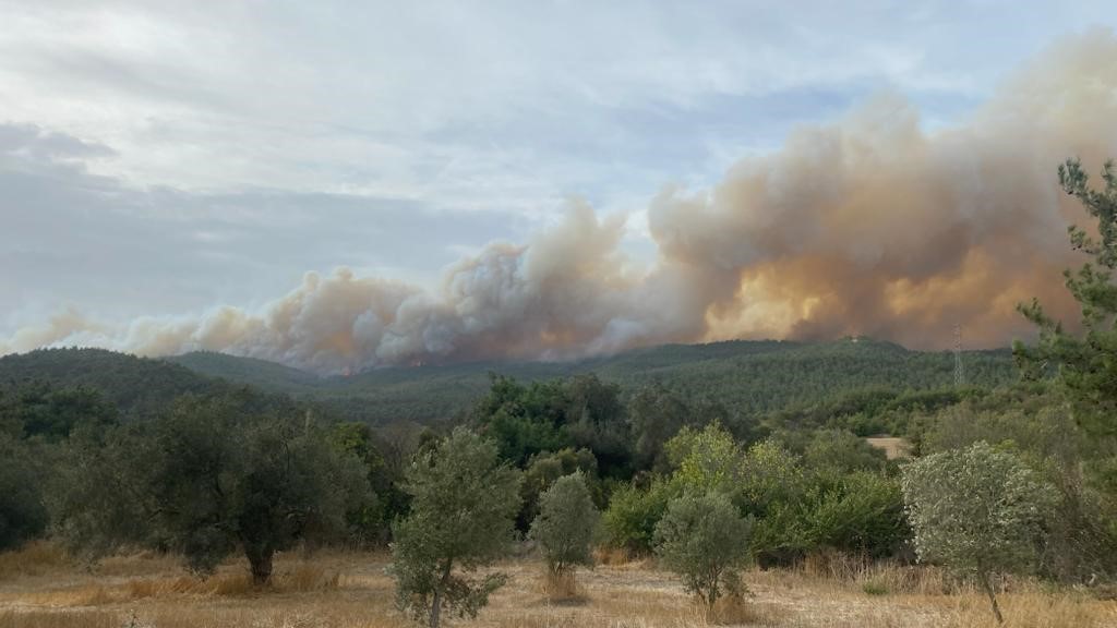 Çanakkale’deki orman yangını devam ediyor