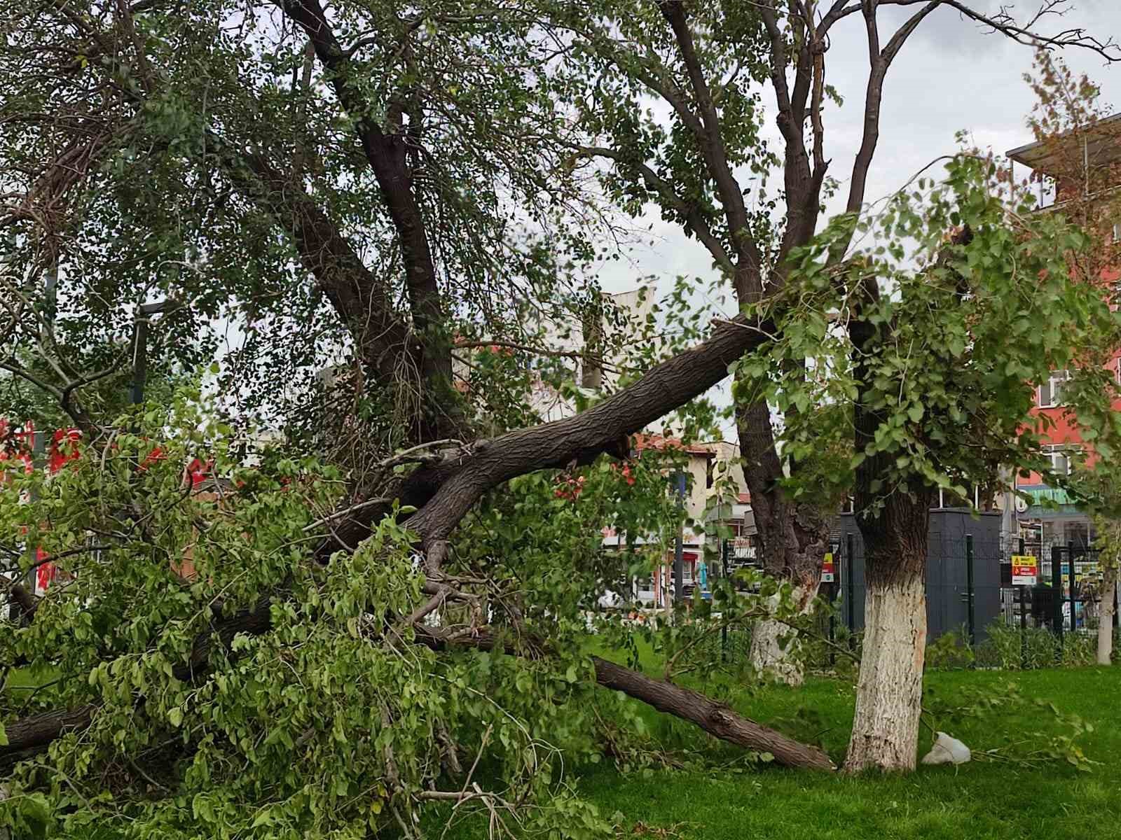 Keşan&rsquo;da şiddetli r&uuml;zgar nedeniyle ağa&ccedil;ların dalları kırıldı

