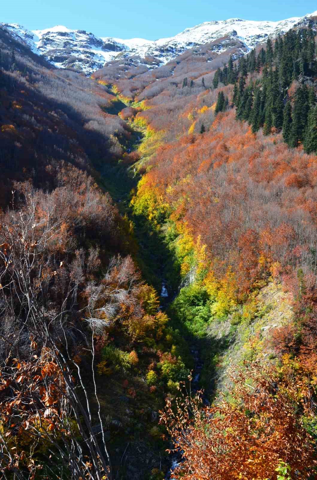 Artvin Şavşat’ta sonbahar renkleri havadan görüntülendi
