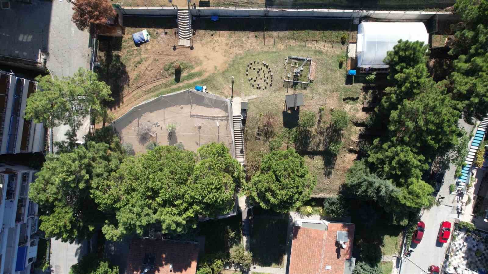 Yalova’da çocuklara doğa sevgisini aşılıyorlar