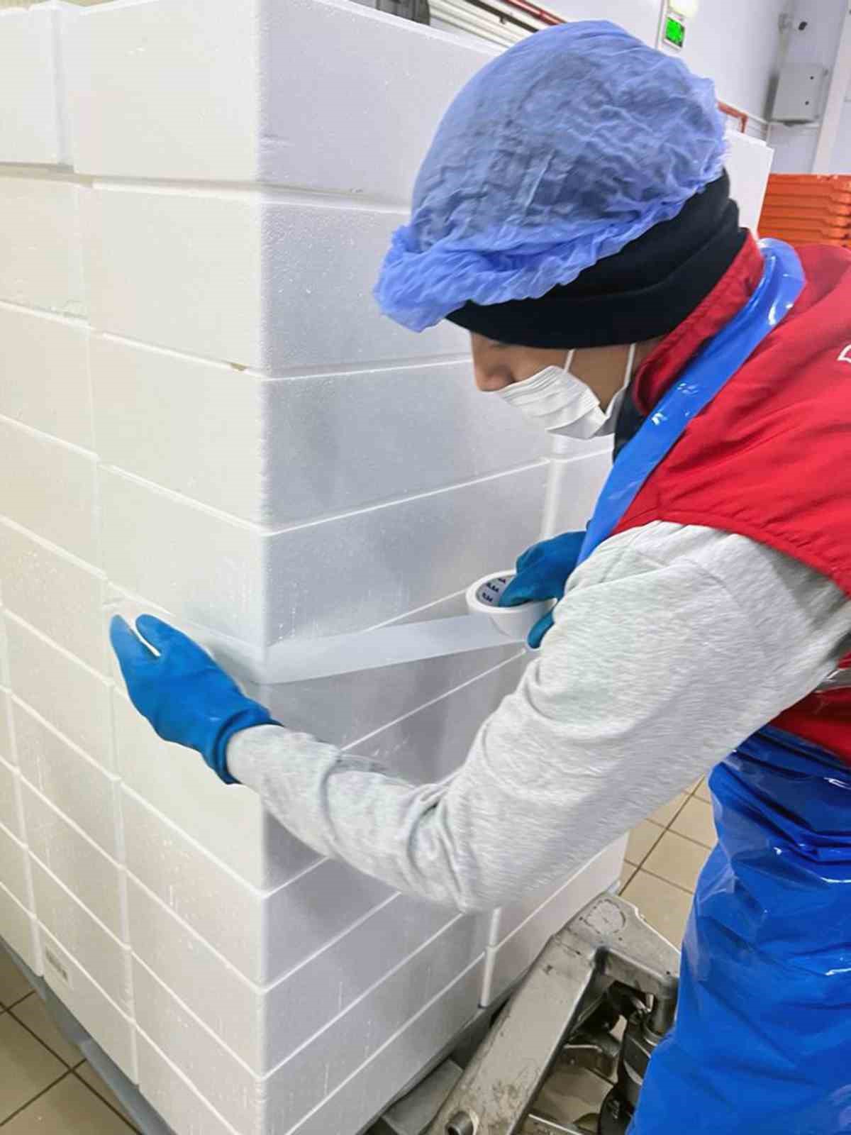 Roman vatandaşlar istihdama kazandırılıyor
