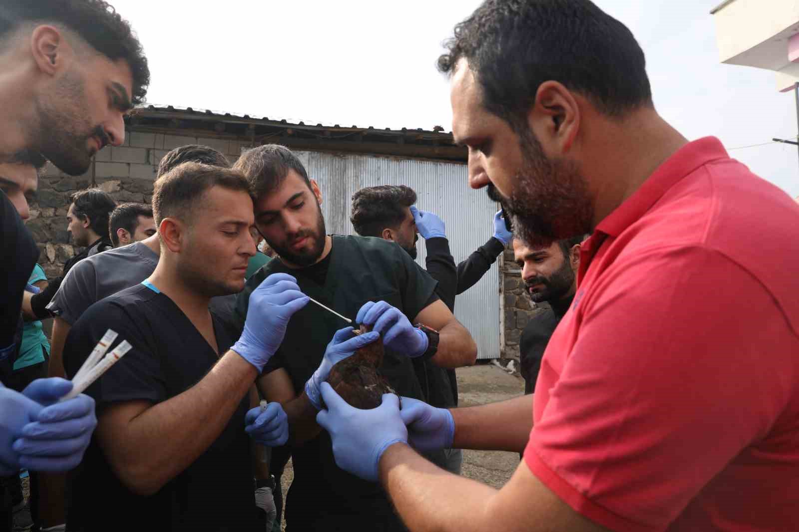 Diyarbakır’da veteriner hekim adayları saha çalışmalarına katıldı